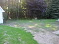 Back Lawn - Day 12